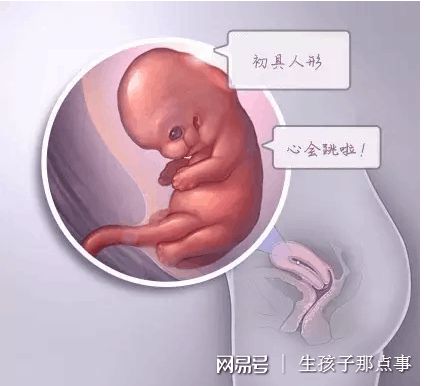 林主任医师